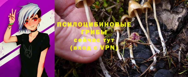 MESCALINE Арсеньев