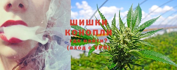 ПСИЛОЦИБИНОВЫЕ ГРИБЫ Аркадак