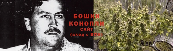 ПСИЛОЦИБИНОВЫЕ ГРИБЫ Аркадак