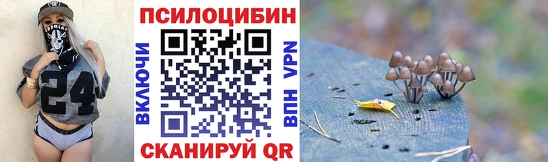 продажа наркотиков  Фролово  Галлюциногенные грибы мицелий 